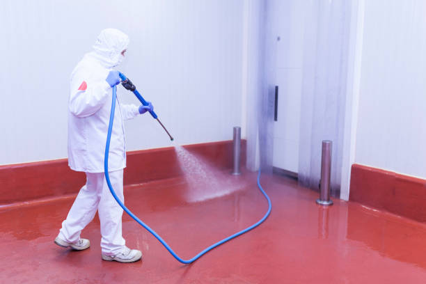 Best Machinery and Equipment Cleaning  in Bay Pines, FL