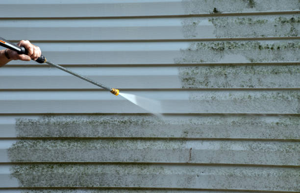 Professional  Pressure Washing Services in Bay Pines, FL
